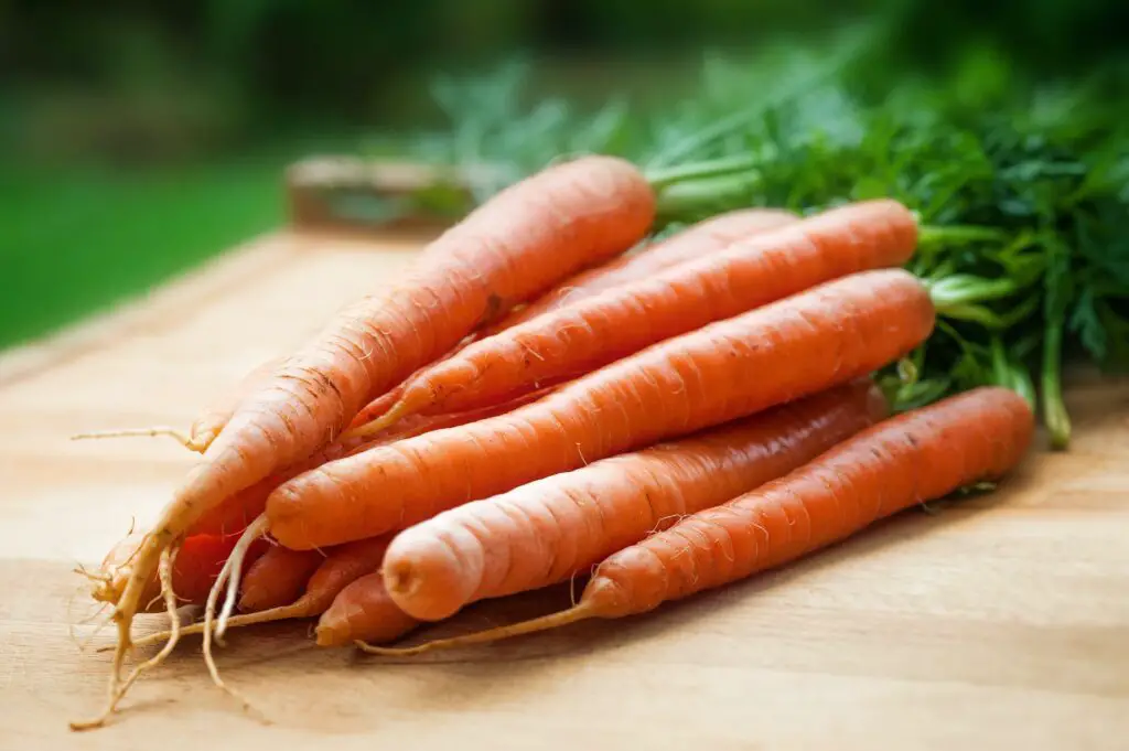 What Do Carrot Taste Like & It's Benefits or Carrot is a Fruit or Vegetable?