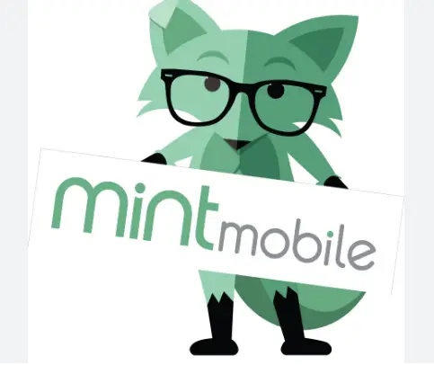 Who Owns Mint Mobile?